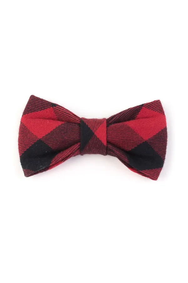 Bordo Ekose Papyon